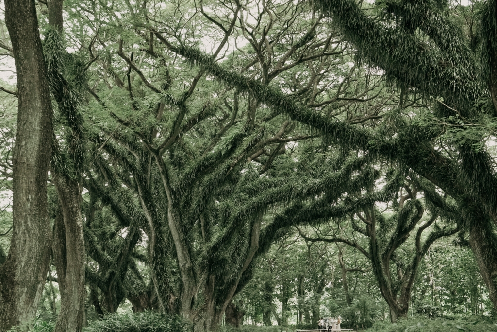 De Jawatan Banyuwangi